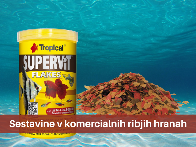 Sestavine v komercialnih ribjih hranah